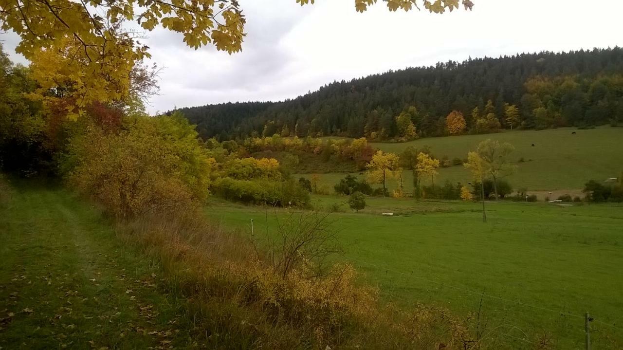 Ferienwohnung Schulze Ilmtal Zewnętrze zdjęcie