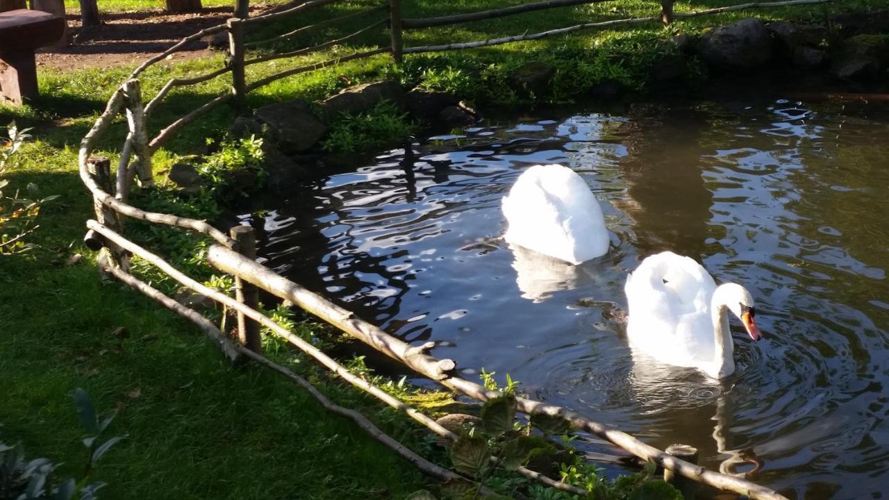 Ferienwohnung Schulze Stadtilm Zewnętrze zdjęcie